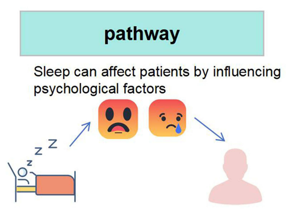 西安交大团队发现：睡眠障碍使眩晕恶化风险翻倍，其中37.7%由焦虑抑郁介导